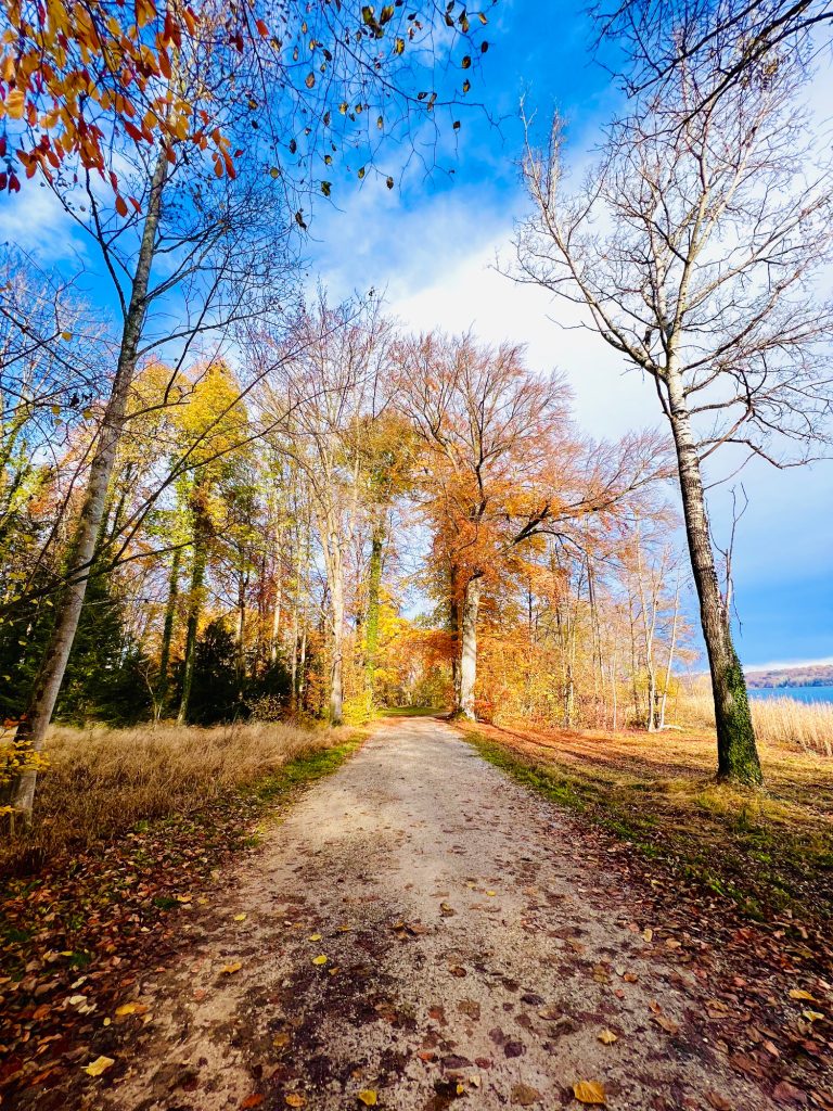 Tutzing Traubing Ferienwohnung Casa Heckl Weg durch einen herbstlichen Wald mit bunten Blättern und blauem Himmel.