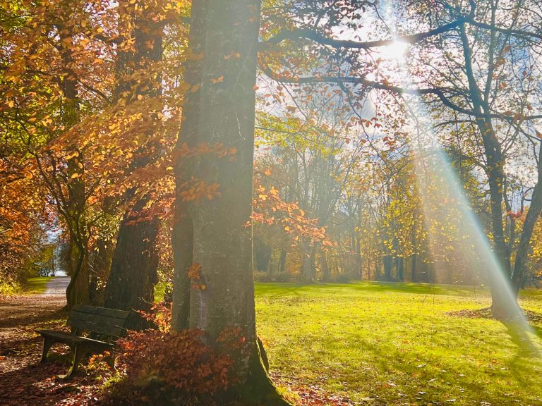Tutzing Traubing Ferienwohnung Casa Heckl Herbstliche Parklandschaft mit buntem Laub und sonnenstrahlen.