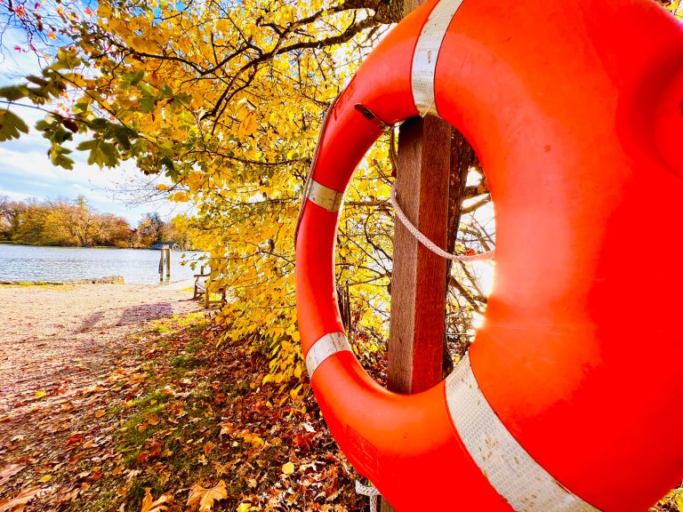 Tutzing Traubing Ferienwohnung Casa Heckl Rettungsring an einem Baum, im Hintergrund Herbstblätter und ein See.