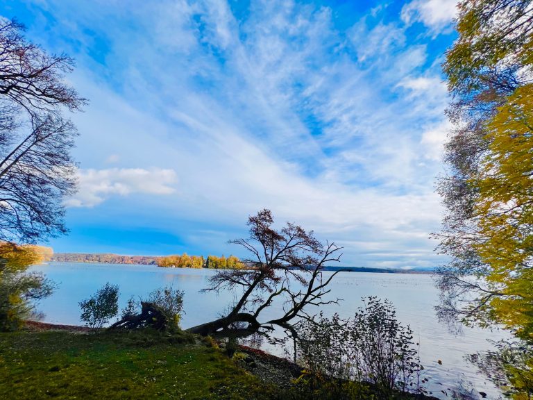 Tutzing Traubing Ferienwohnung Casa Heckl Ruhiger See mit überwiegend blauen Himmel und herbstlichen Bäumen am Ufer.