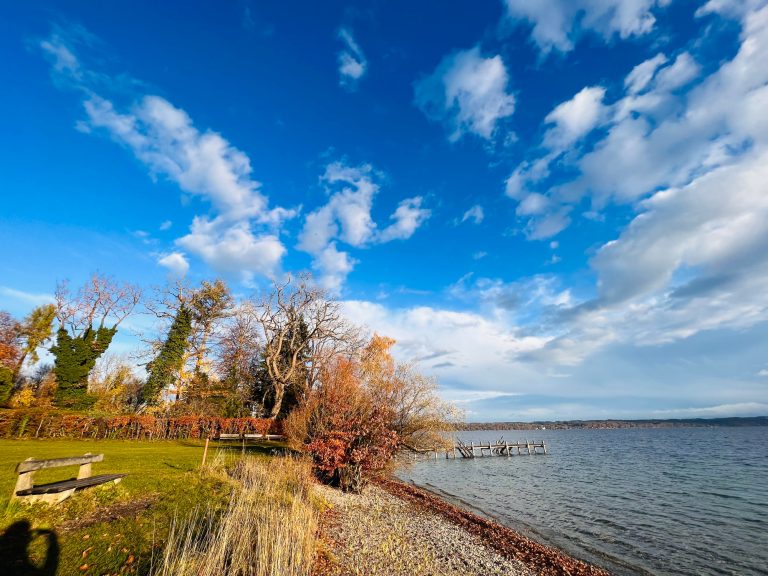 Tutzing Traubing Ferienwohnung Casa Heckl Uferansicht eines Sees mit buntem Herbstlaub und bewölktem Himmel.