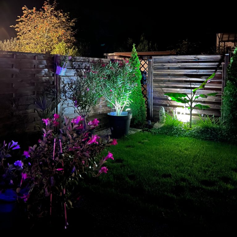 Tutzing Traubing Ferienwohnung Casa Heckl Blick auf einen Garten bei Nacht, beleuchtet mit bunten Lichtern und Pflanzen.